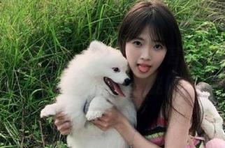 在“17c吃瓜”官网，瓜皮下藏的八卦真不少，你能破解吗？