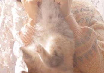 猛踩黑料不打烊tttzzzAPP的入口，瓜多得让人应接不暇！