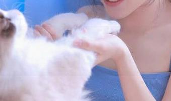 搞什么？这永久的入口简直是黑料不打烊tttzzz的VIP通道！