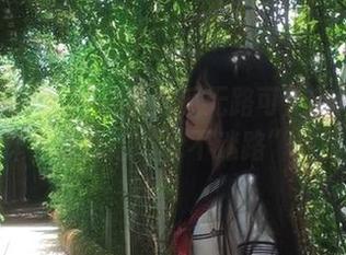谁说吃瓜无路可走？黑料不打烊为你打造“永不迷路”攻略！