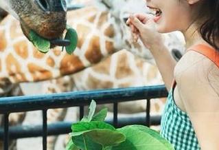 快来查收799.su黑料正能量最新线路，瓜啃不停着呢！