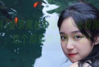 登录黑社料后，下载权限大开放，这个瓜你绝对想尝尝！